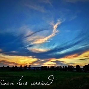 Meet your Posher, Tish